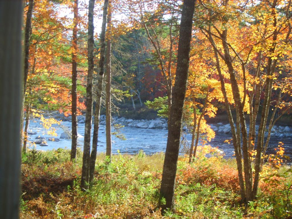 Roseway River Cottages Shelburne Exterior foto