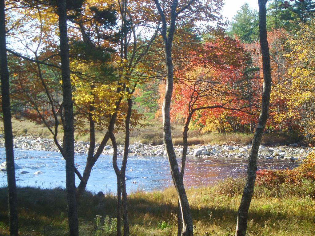 Roseway River Cottages Shelburne Exterior foto